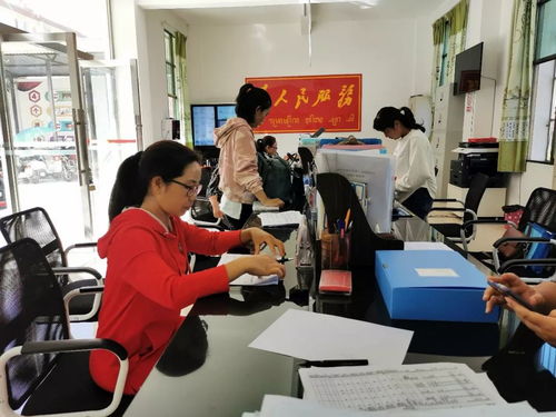 以主题教育固初心 用教育服务暖民心——探索为民解忧的教育咨询服务新路径