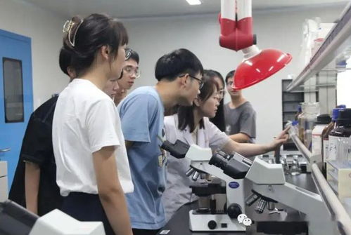教育的本真 从能力提升到职业选择——解析大学生不愿进工厂现象